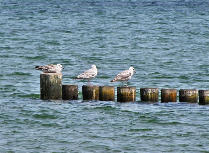 strandbuhne_04_g